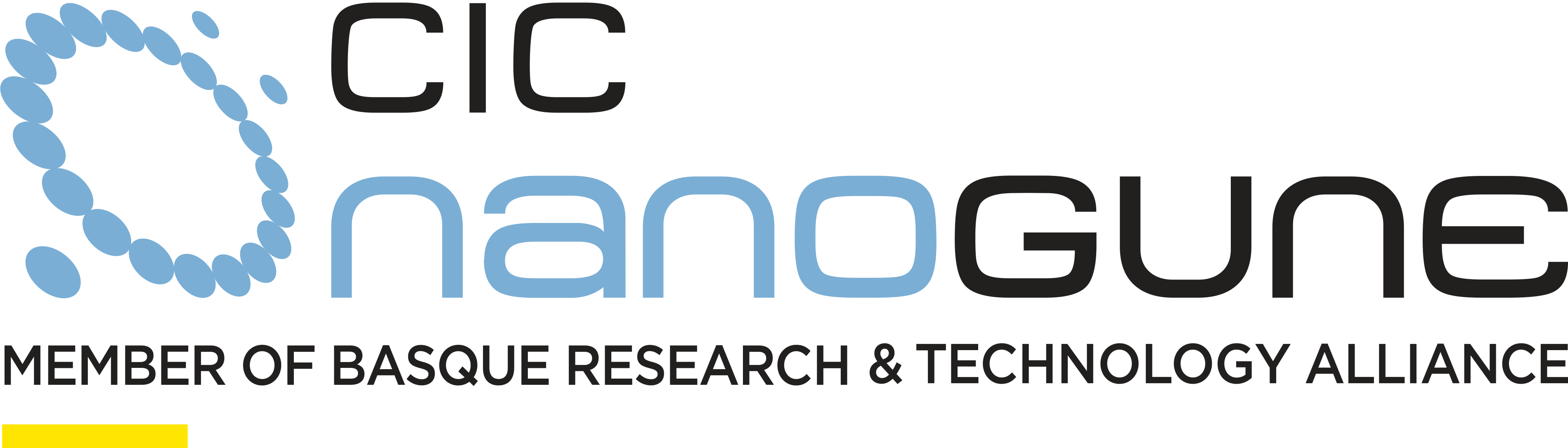 logo cicnanogune